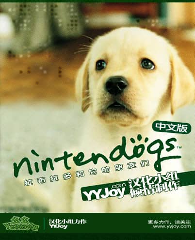 拉布拉多犬和它的朋友们